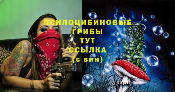 мяу мяу кристалл Верея